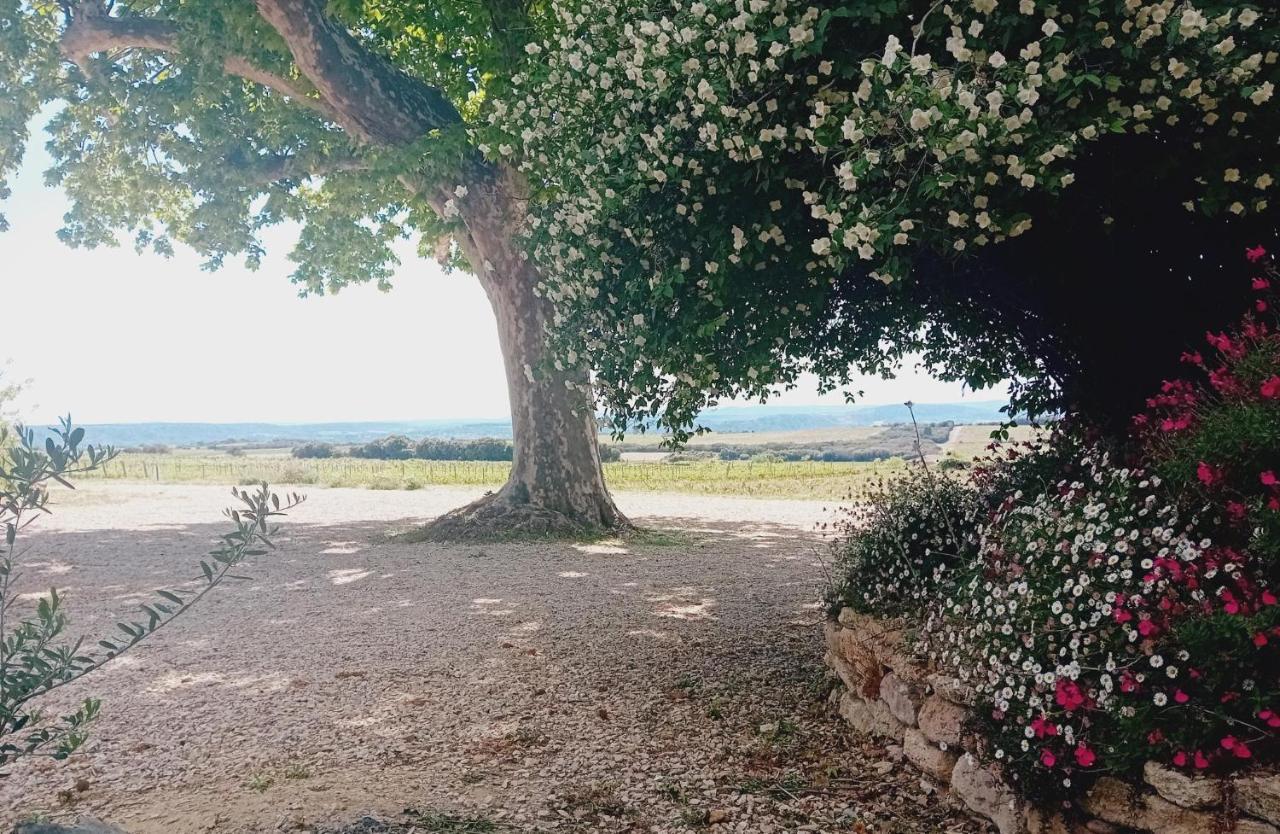 Ferme De L'Arnesque Villa Châteauneuf-du-Pape Eksteriør billede