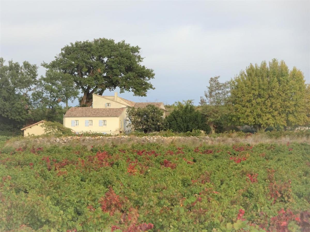 Ferme De L'Arnesque Villa Châteauneuf-du-Pape Eksteriør billede