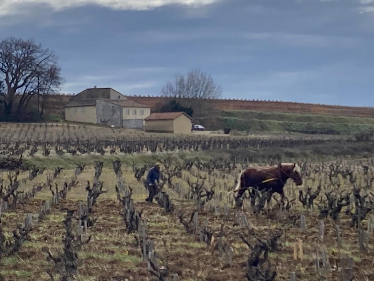 Ferme De L'Arnesque Villa Châteauneuf-du-Pape Eksteriør billede